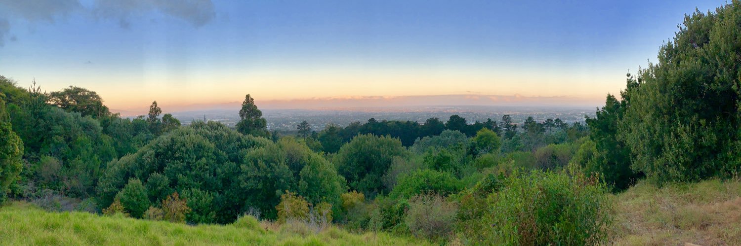 Michael Marchant banner