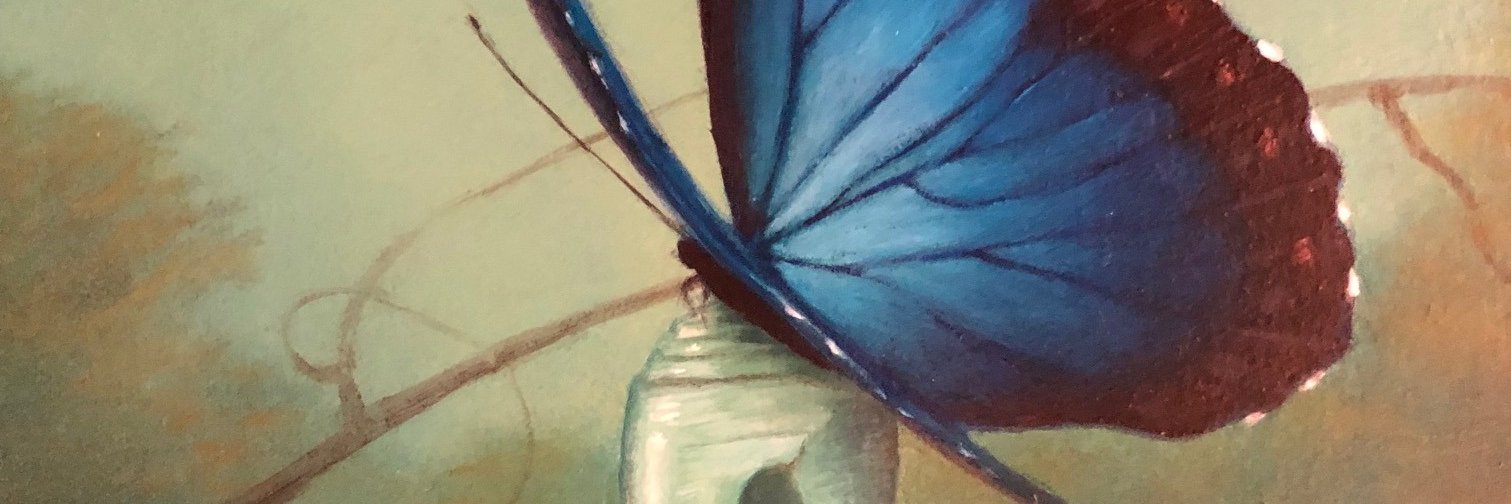 MetamorphosisUS's profile banner image