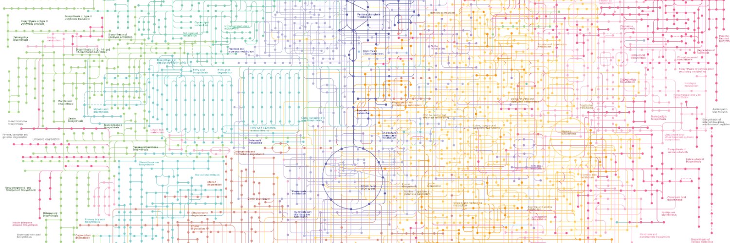 Jared Mayers, MD, PhD banner