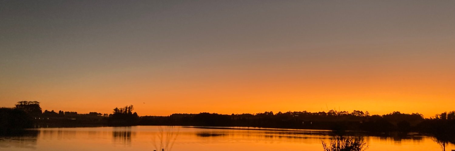 mmcardin's profile banner image