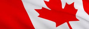 PatriciaCFoster's profile banner image