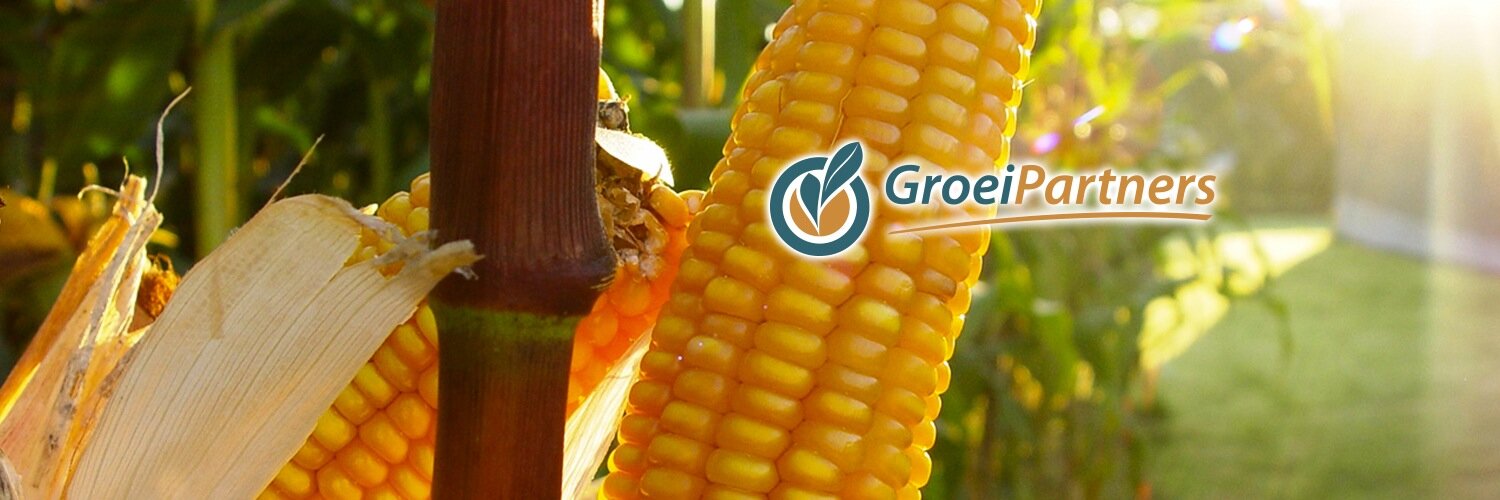 GroeiPartners's profile banner image