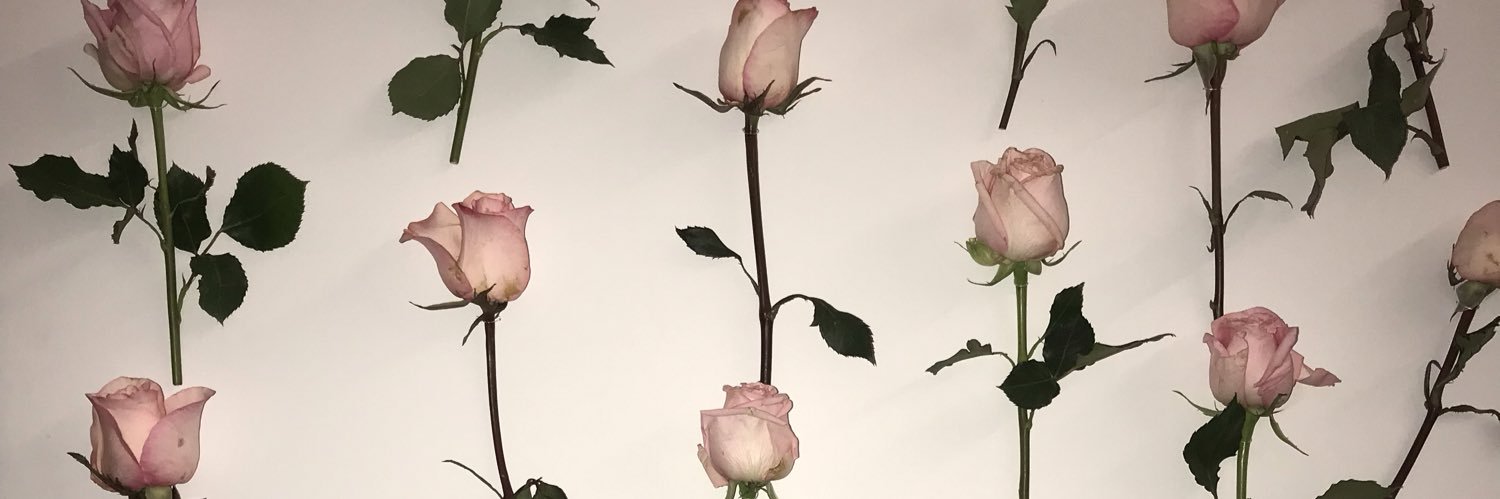 setta615's profile banner image