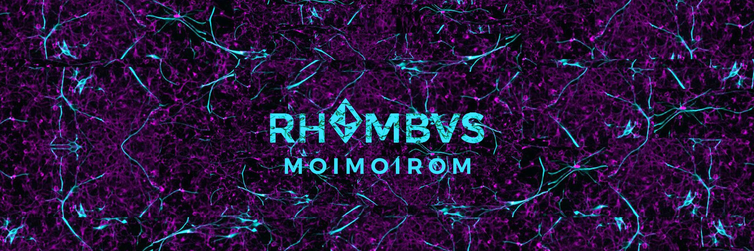 한여름 / RHOMBVS banner