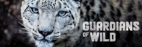 TheTorontoZoo Profile Banner