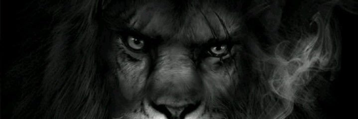 dakpemien's profile banner image
