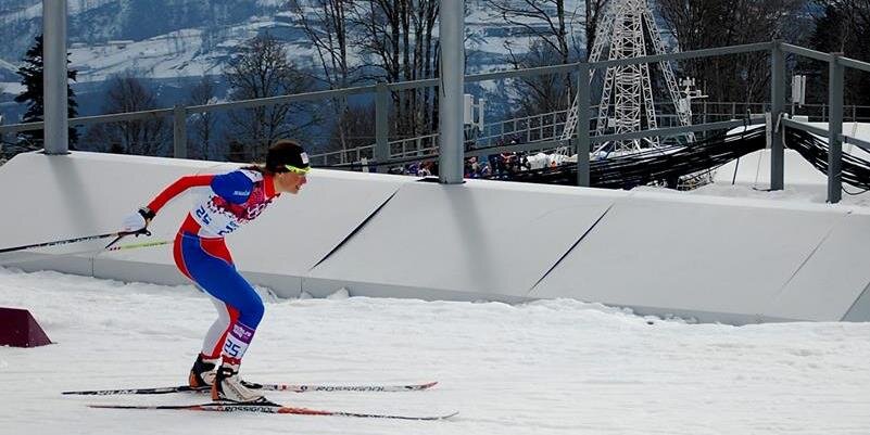 PetNovakova's profile banner image