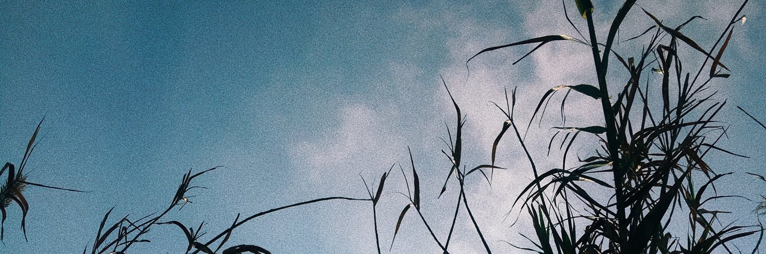 xcazzyx's profile banner image
