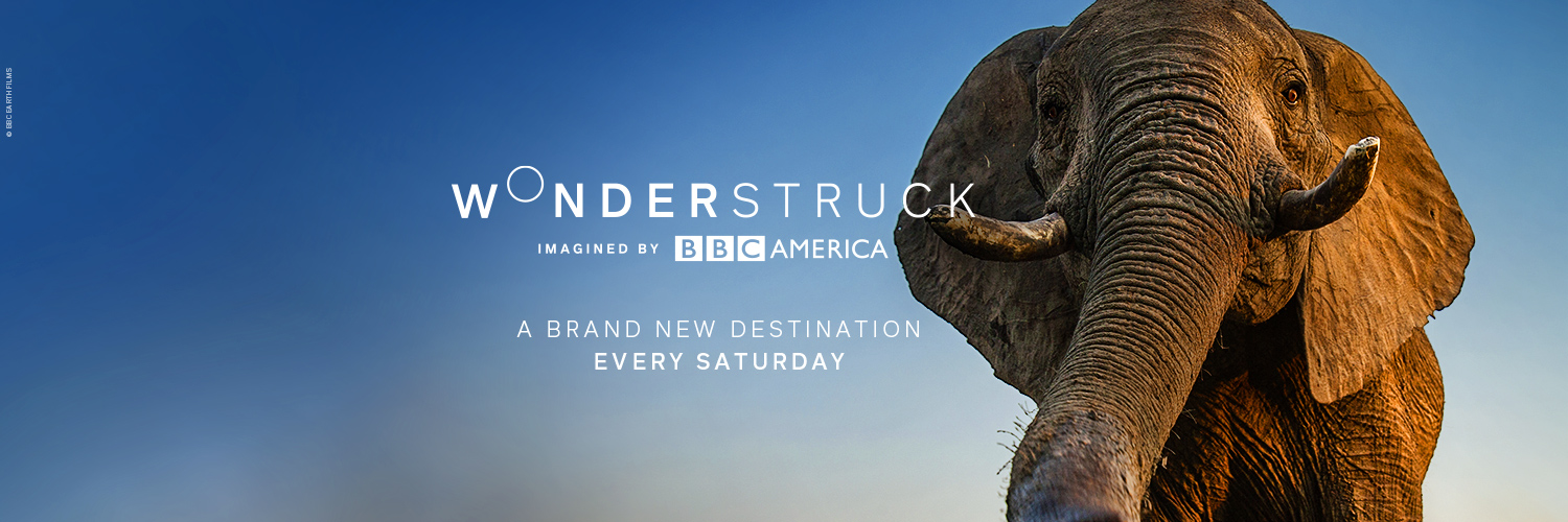 Wonderstruck banner