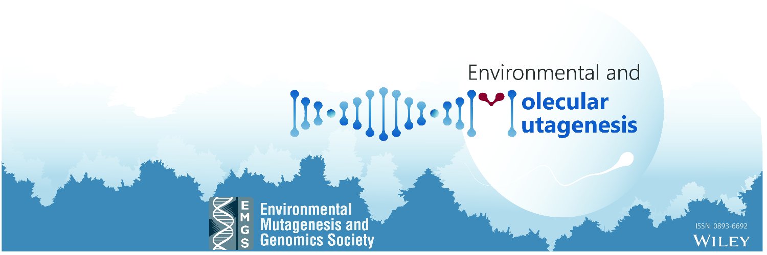 EMMjournal's profile banner image