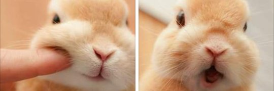 its_15fc's profile banner image