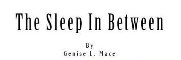 phoenixstarr512 Profile Banner