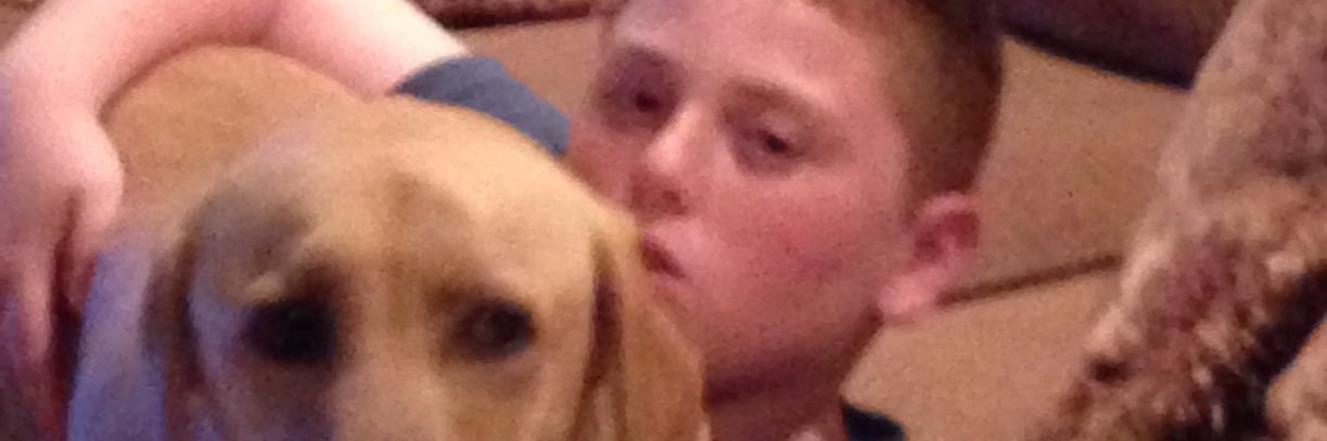 BgardenBrett's profile banner image
