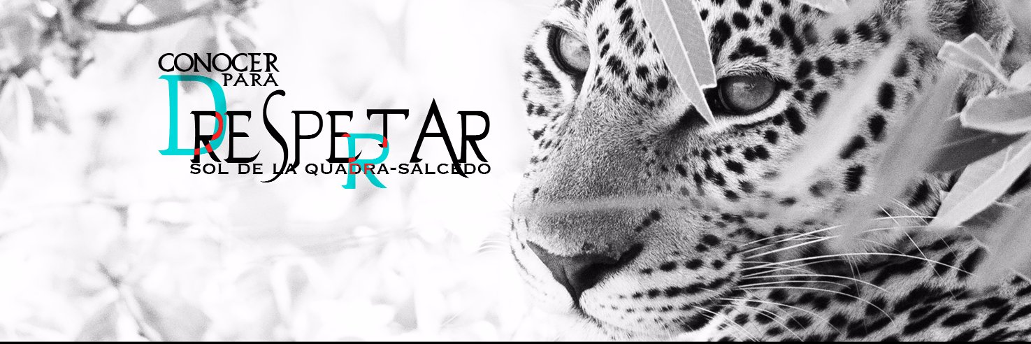 Sol de la Quadra-SAlcedo banner