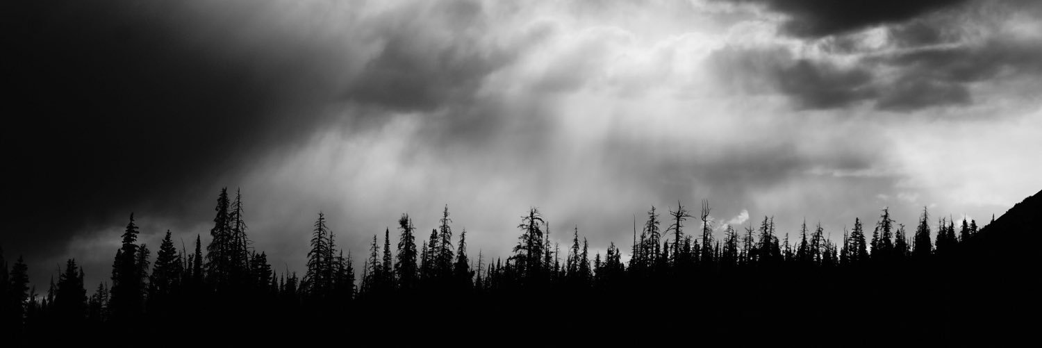 letspaint16's profile banner image