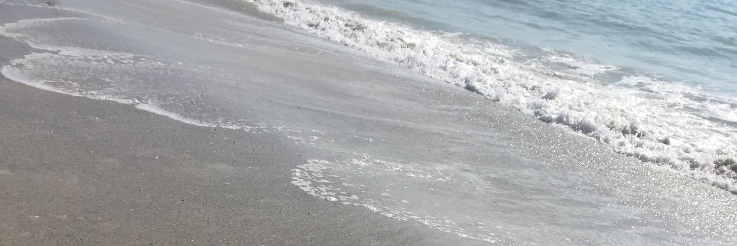 ShaylynnDonner's profile banner image