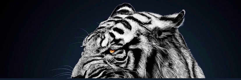 dammm__johnny's profile banner image