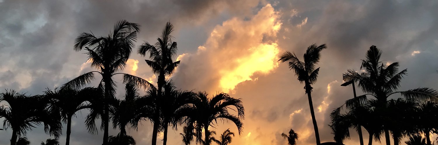 LTonnotti's profile banner image