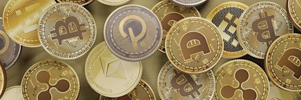 NLcryptolady Profile Banner