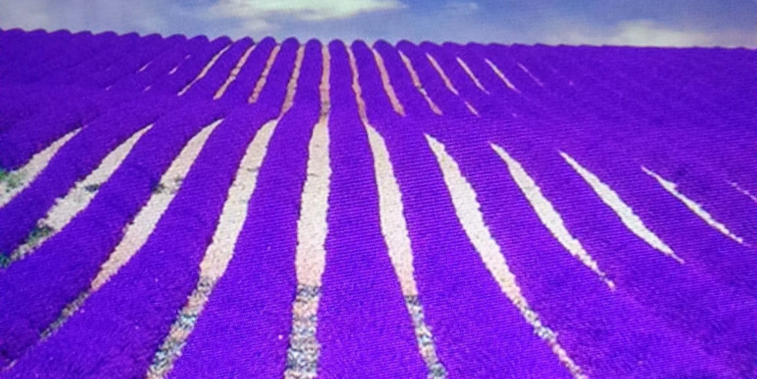 Davaliprez's profile banner image