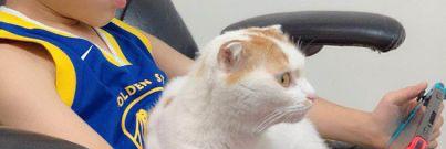 prietojimenez22's profile banner image