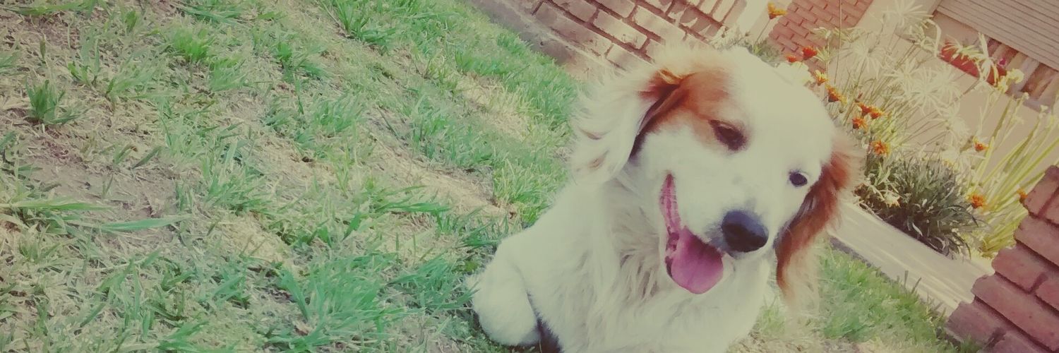 Piadegio's profile banner image