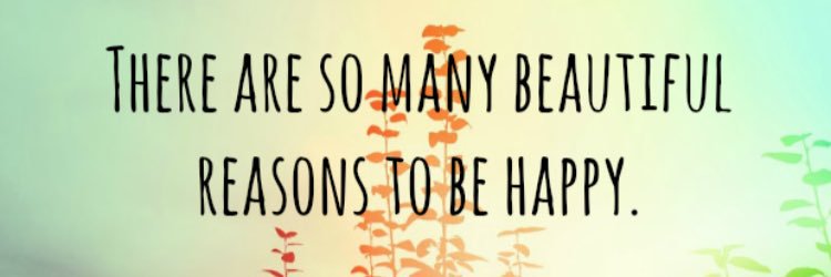 leaanneysmith's profile banner image