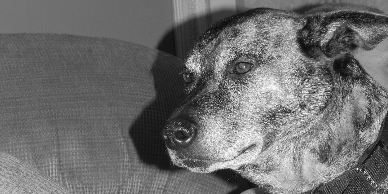 the__unknown___'s profile banner image