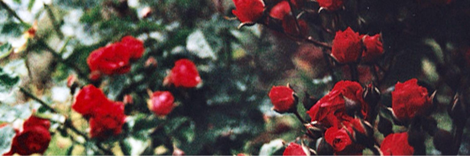 AndrewScottFans's profile banner image