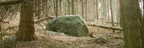 Altinget Profile Banner