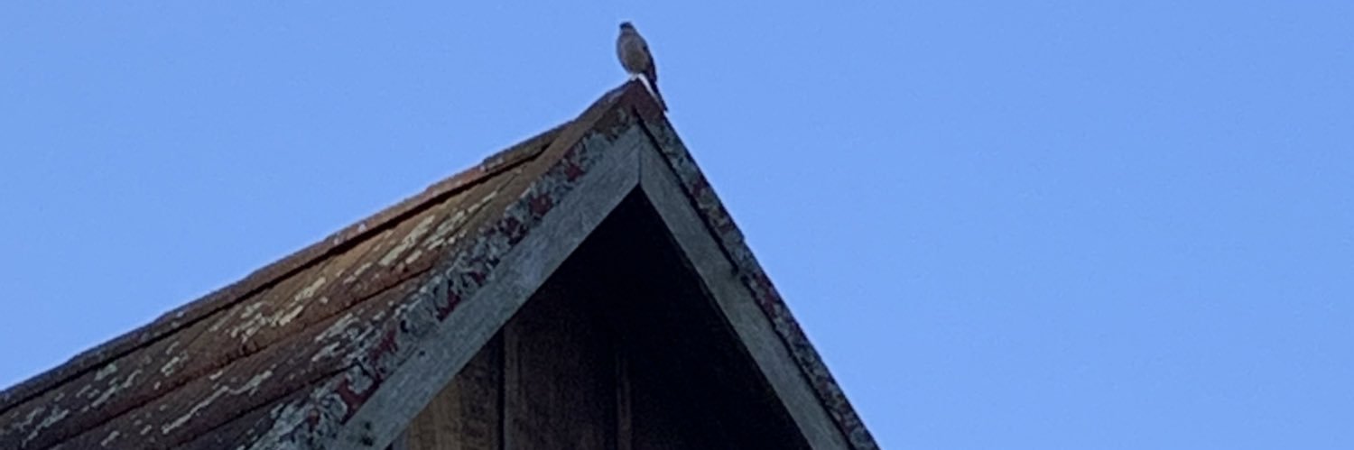 IMORTAL DOS PAMPAS banner