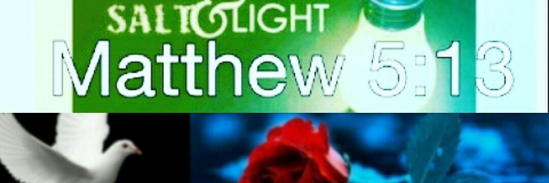 schake1337's profile banner image