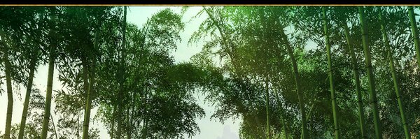 Valentin86S Profile Banner