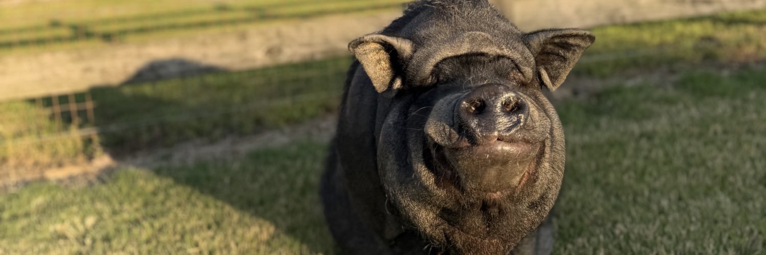 itsmoonhead's profile banner image