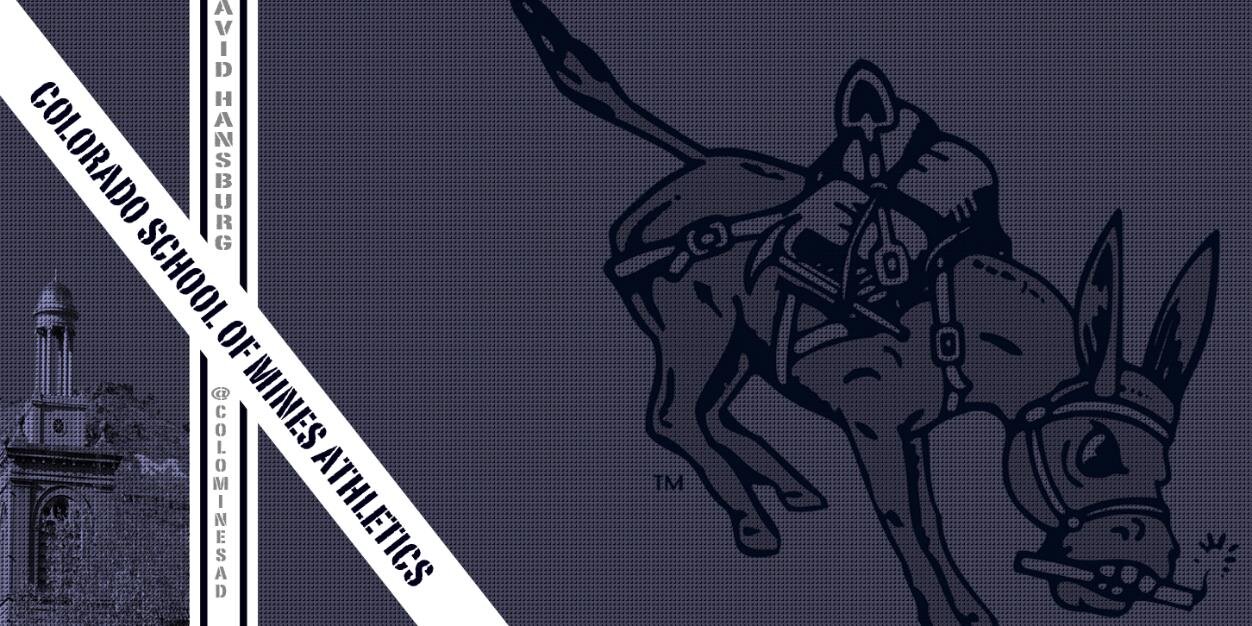 David Hansburg banner