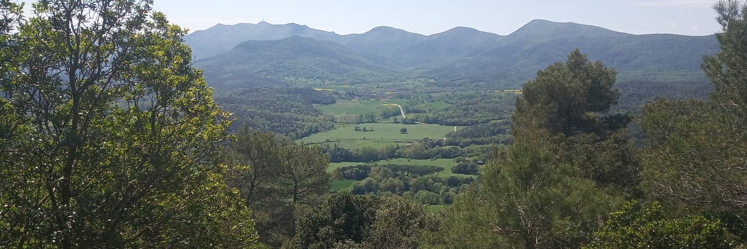 Stella Evangelidou banner