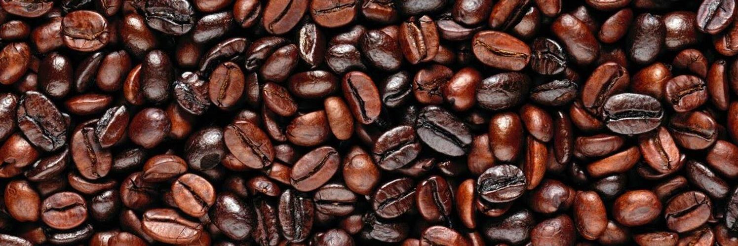 JoeDufort's profile banner image