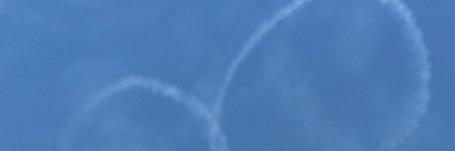flyswaj's profile banner image