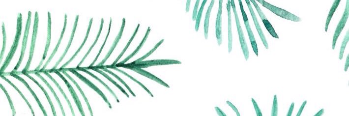 RaquelGuardado's profile banner image