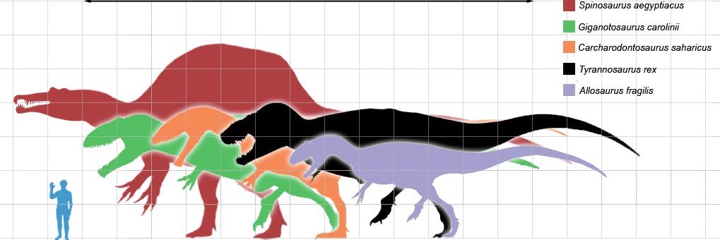 dreadnoughtus15's profile banner image
