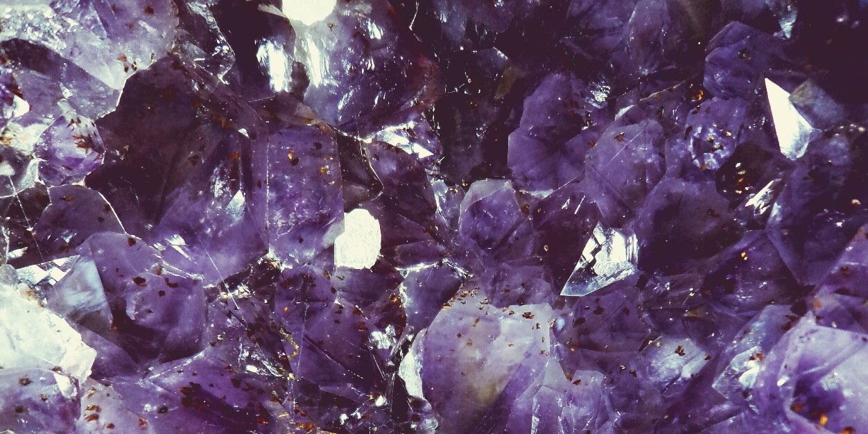 __wolfsister's profile banner image