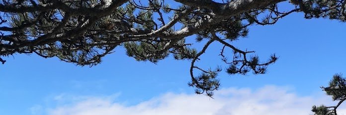 _FloBer_'s profile banner image