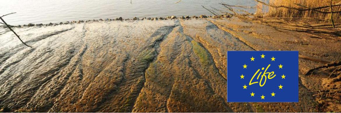 veerle campens banner