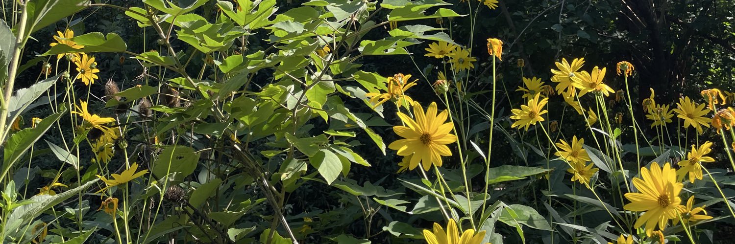 brisaxc's profile banner image