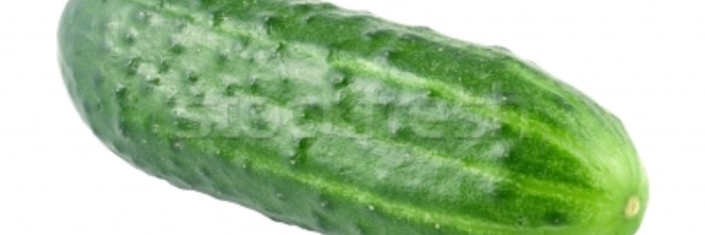 estevesigala's profile banner image