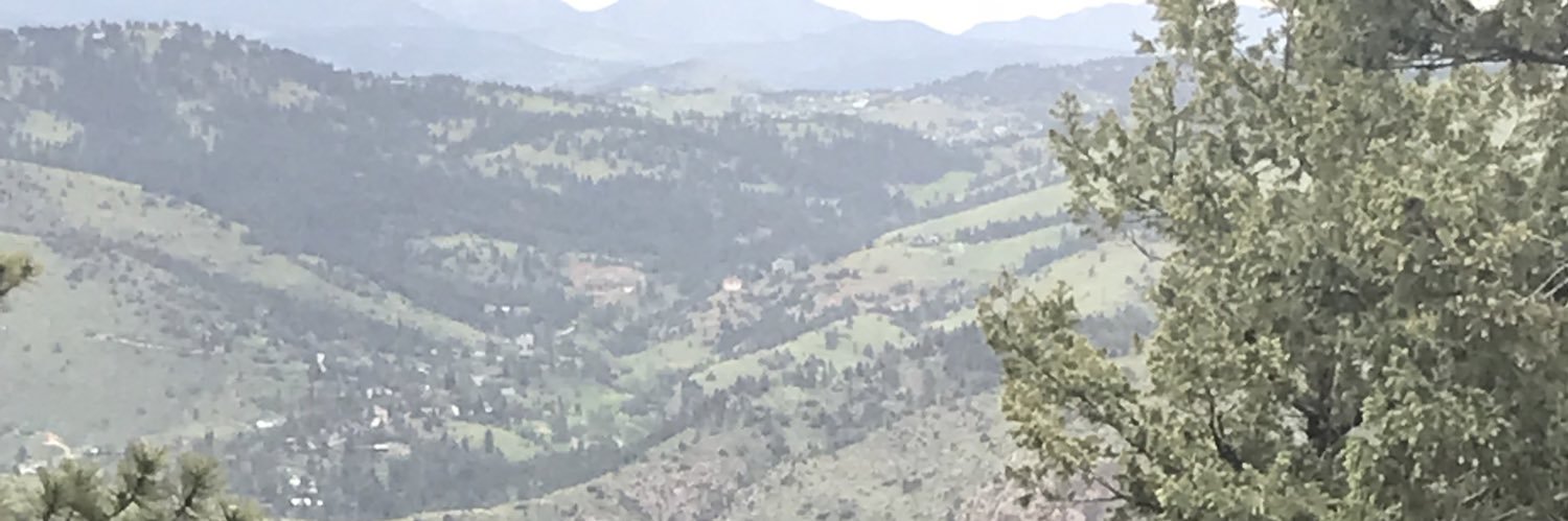 michelle🌹🐝happy ☮️❤️🌸🌻's banner