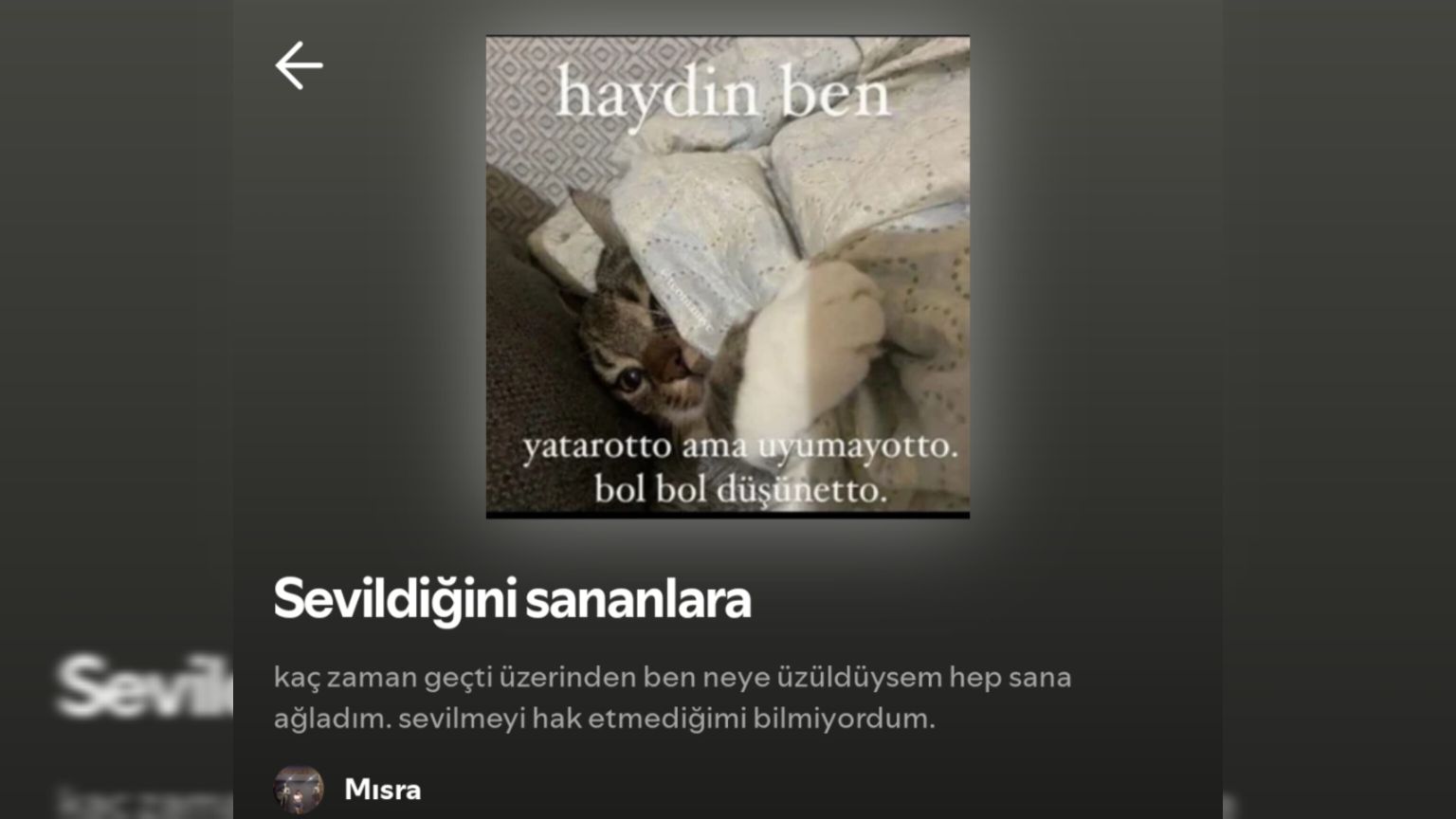 misrayilma's profile banner image