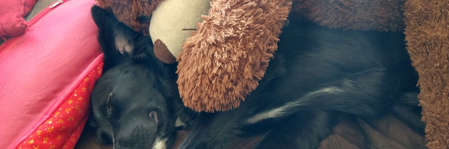 blancaprieto8's profile banner image