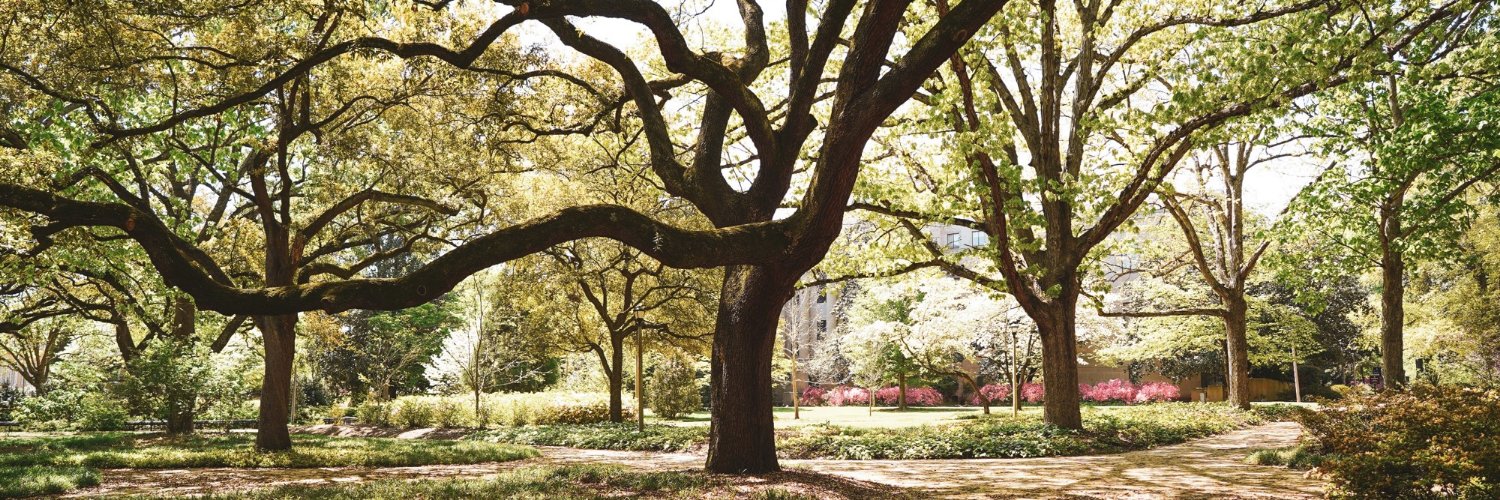 Sam McQuillin banner