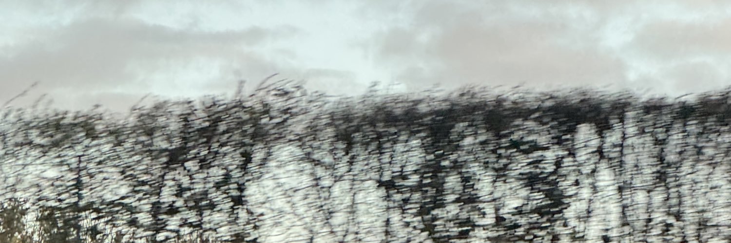 okcoolanyways's profile banner image